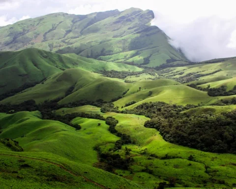 Mesmerising Western Ghats