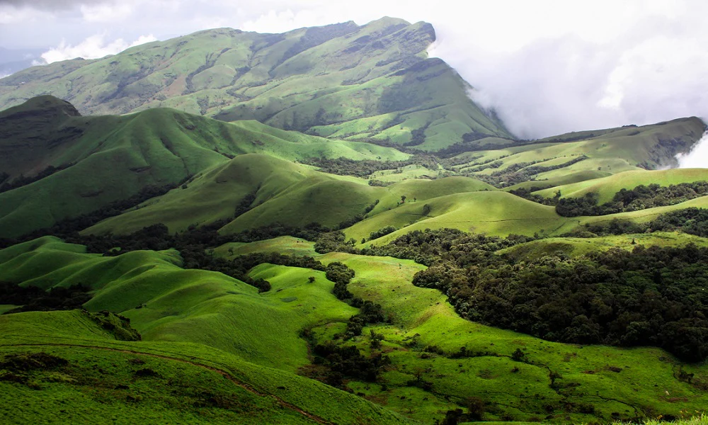 Mesmerising Western Ghats