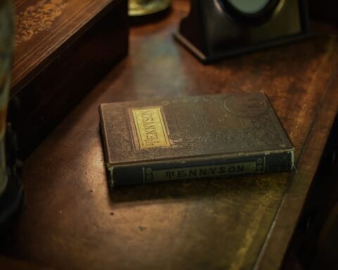 Mysterious diary from the doppelgänger post