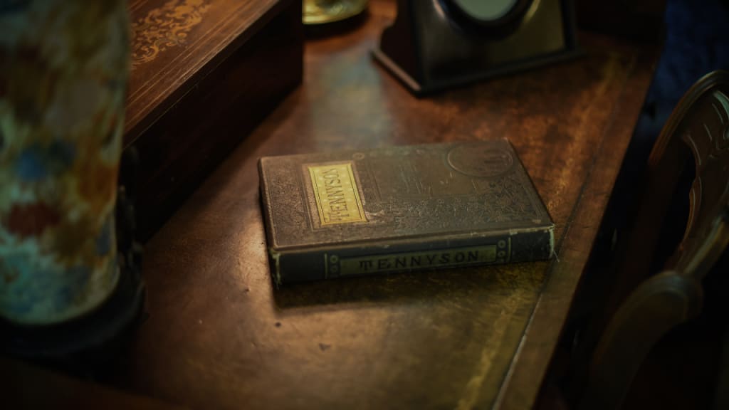 Mysterious diary from the doppelgänger post