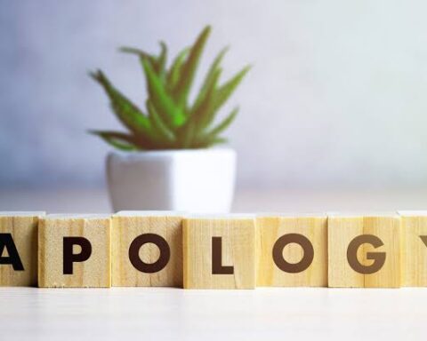 apology